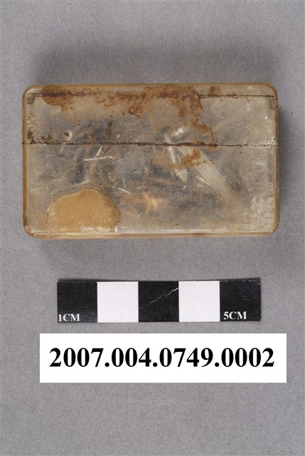 牙科牙釘 (共6張)