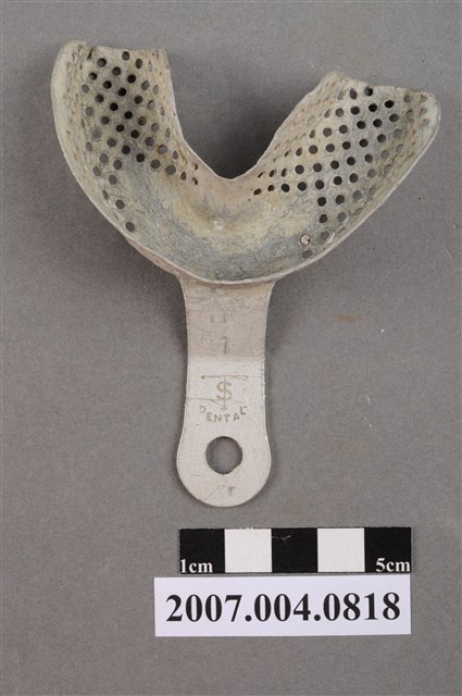 TS 牙科印模用1號LP牙托 (共5張)