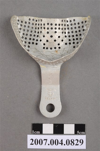 TS 牙科印模用3號UP牙托 (共5張)