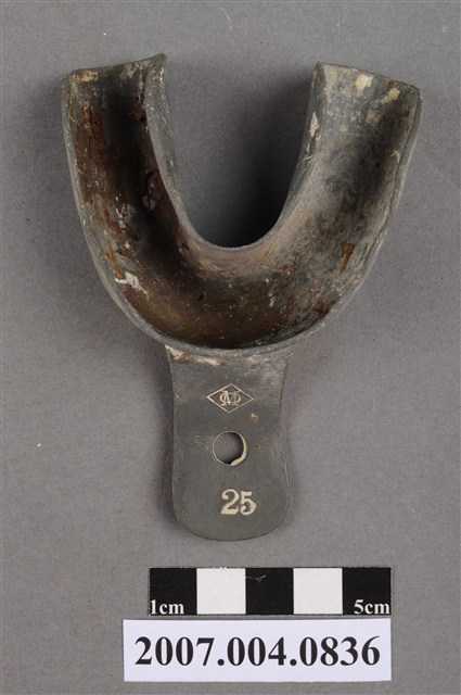 牙科印模用25號牙托  (共5張)