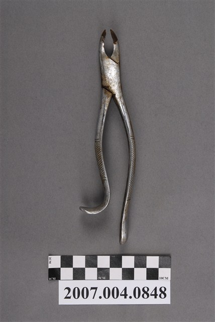 牙科拔牙鉗 (共5張)