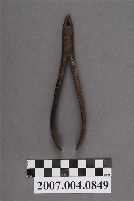 牙科拔牙鉗 (共5張)