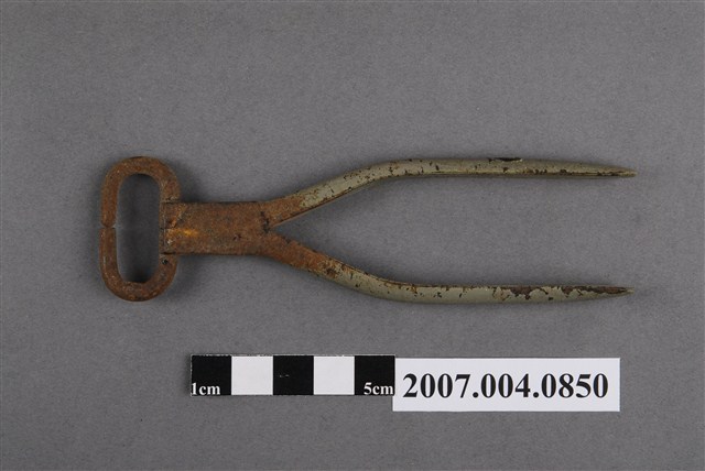 牙科技工鉗 (共5張)