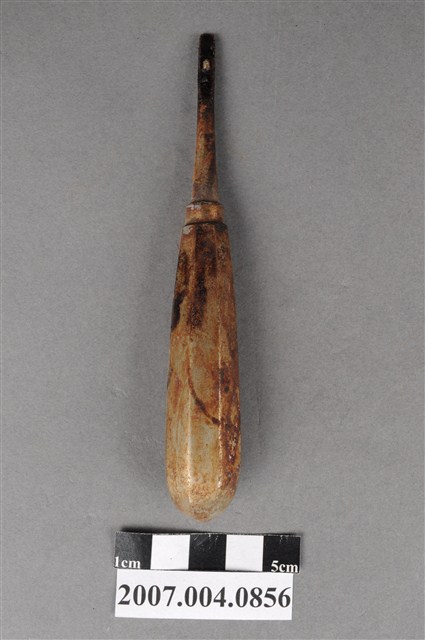 牙科牙挺 (共5張)