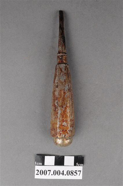 牙科牙挺 (共5張)