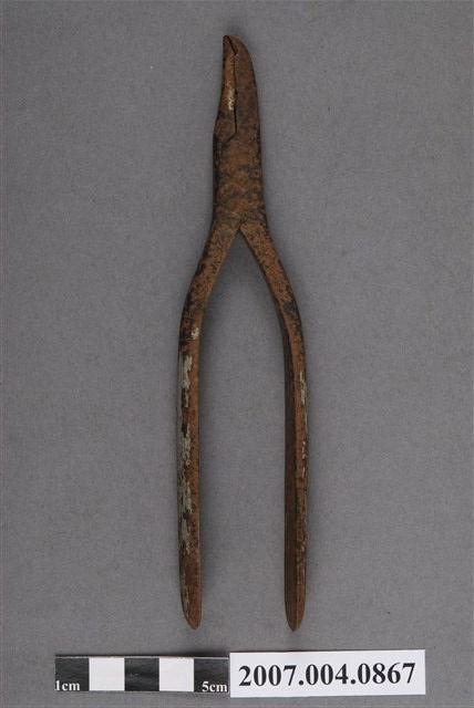 牙科拔牙鉗 (共5張)