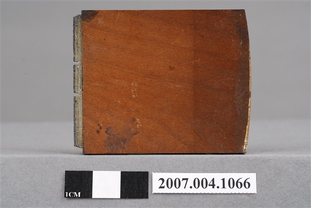 「髓室開放」印章 (共8張)