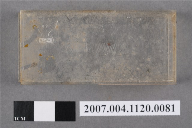 WASHI塑膠盒 (共5張)