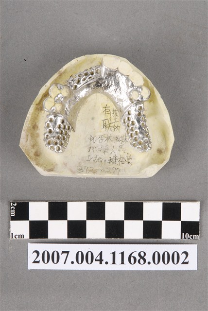 局部活動假牙製作分解模型2 (共7張)