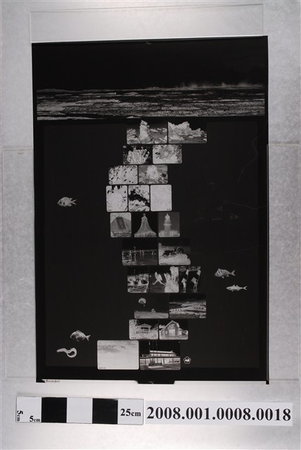 〈東北角海岸國定風景特定區〉再版製版網片背面彩圖黃版 (共2張)