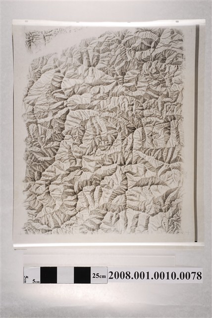 玉山國家公園地圖製版陽片地形暈渲 (共2張)