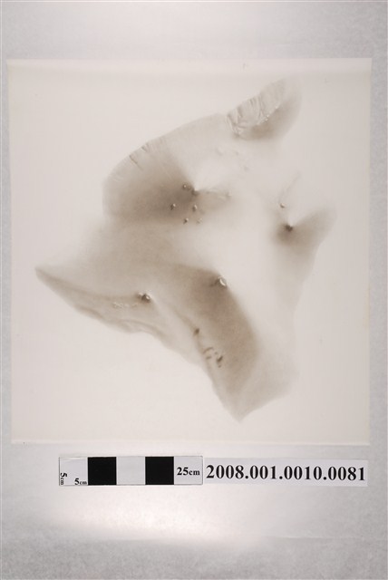 夏威夷地圖膠片地形暈渲 (共2張)