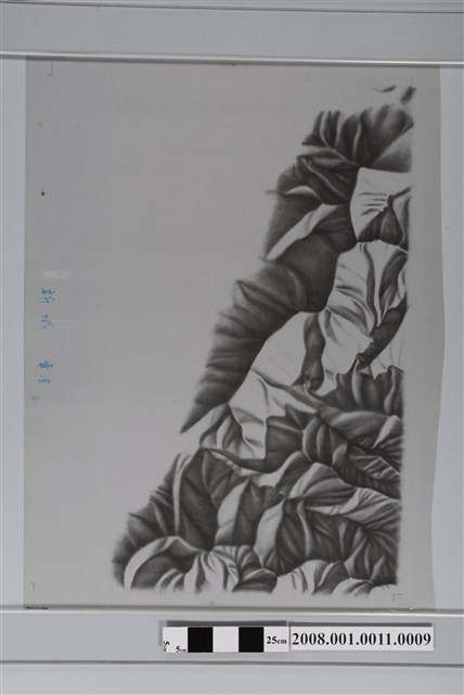 〈花蓮縣新城鄉行政區域圖〉製版膠片地形暈渲 (共2張)