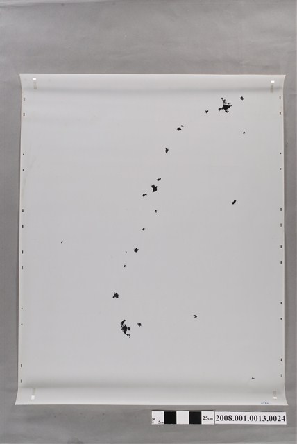 〈三十萬分一臺灣地區〉製版膠片主要聚落 (共2張)