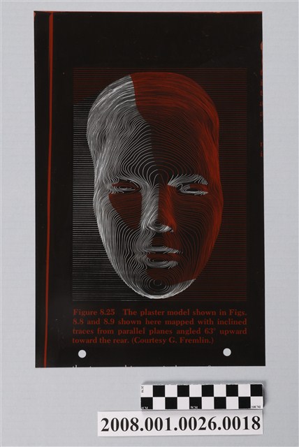 人臉模擬等高線圖陰片 (共2張)