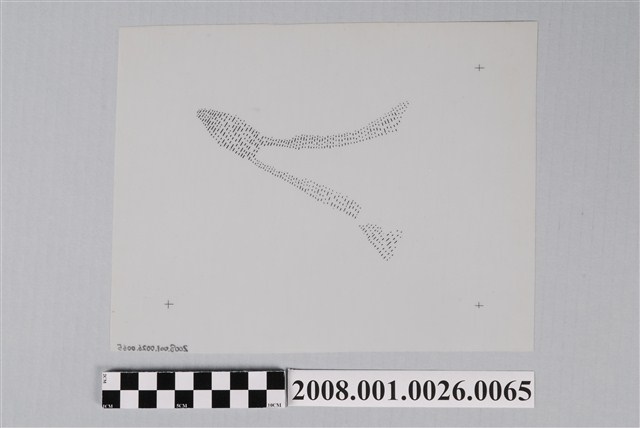 〈阿拉努卡環礁〉清繪膠片沙洲 (共2張)