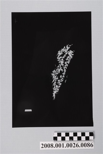 〈臺灣地區〉製版陰片地形分層設色4 (共2張)