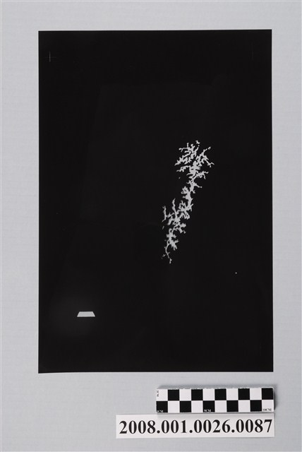 〈臺灣地區〉製版陰片地形分層設色5 (共2張)