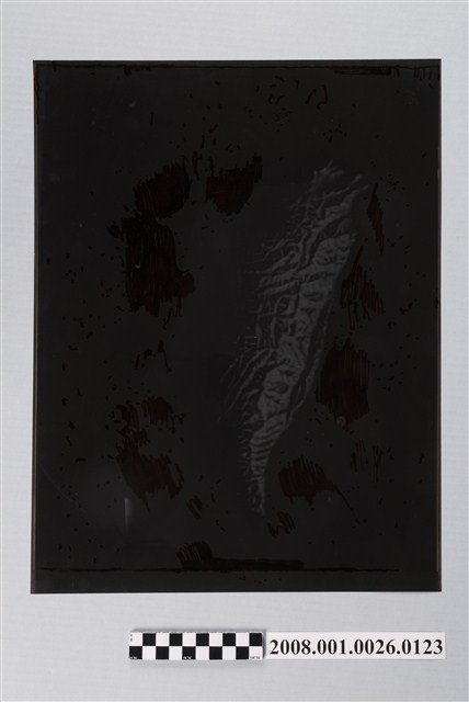 〈臺灣的國家公園〉製版陰片地形暈渲 (共2張)