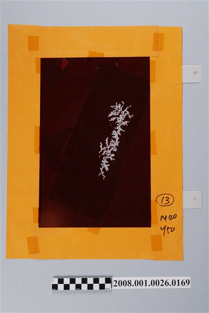 〈臺灣地區〉製版陰片地形分層設色第1版7 (共2張)