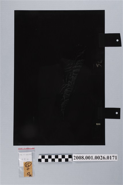 〈臺灣地區〉製版陰片地形暈渲 (共2張)