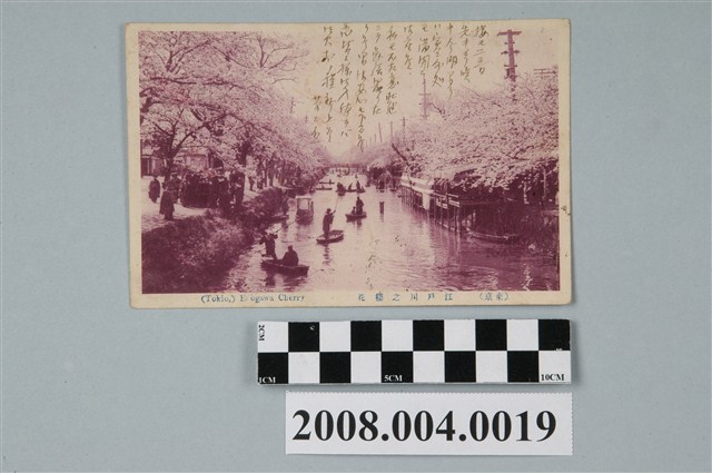 東京江戶川之櫻花 (共2張)