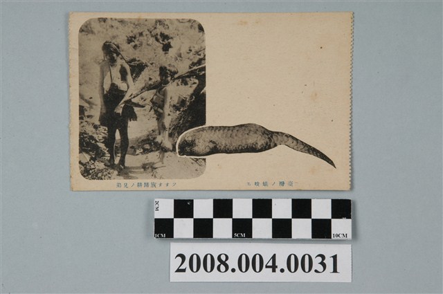 臺灣穿山甲及鄒族耕作的兄弟 (共2張)