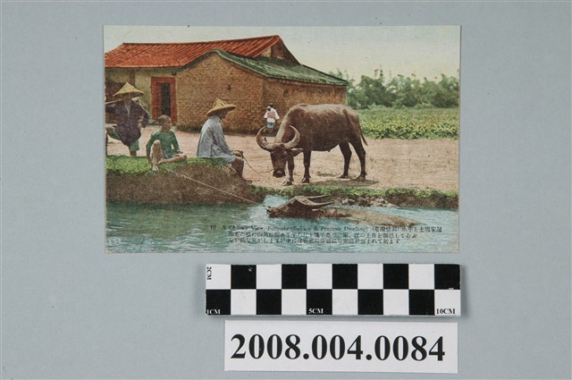 臺灣物產館發行臺灣情調之水牛及土塊家屋 (共2張)