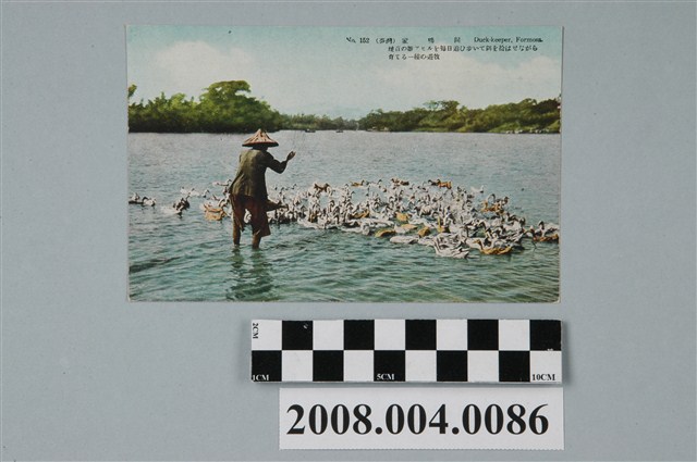 臺北生蕃屋本店印行臺灣養鴨人家 (共2張)