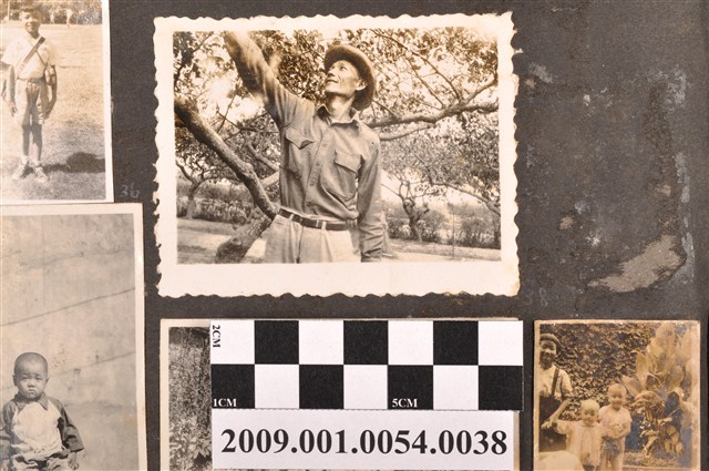 陸季盈摘果個人照 (共1張)