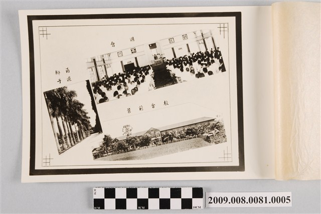 週會與校舍前景及椰子甬道照 (共3張)