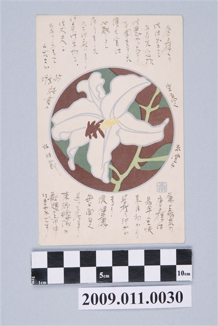 長澤義郎寄與宮尾豐子百合花明信片 (共3張)