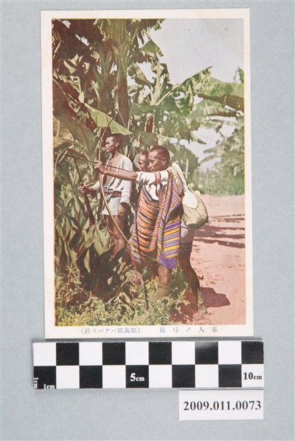 射箭中的賽德克族男子 (共3張)