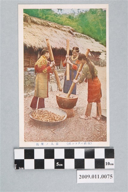 霧社巴蘭社賽德克族搗小米 (共3張)