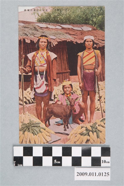 布農族的家屋及主食 (共3張)