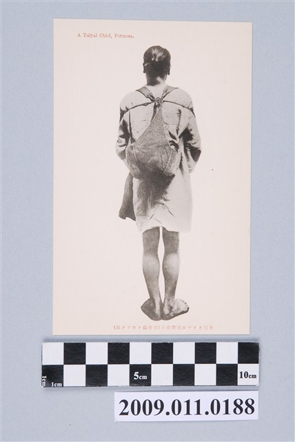 賽德克族土魯閣社頭目背影 (共2張)