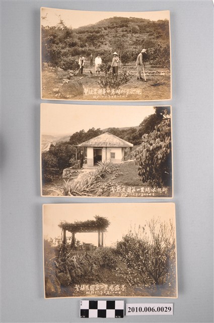 臺北北投鎮長廖樹繁殖農園第一農場照 (共2張)