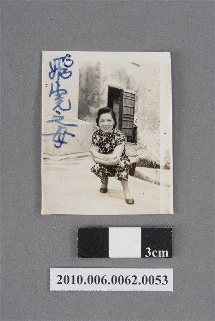 飛□之母獨照 (共4張)