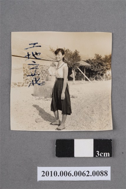 工地之花 (共4張)