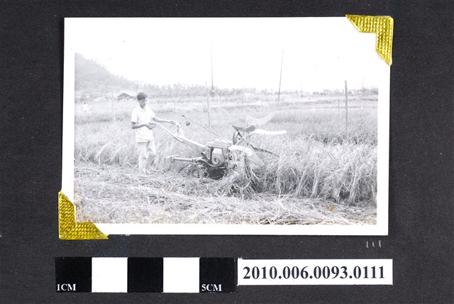 收割機使用情形 (共4張)