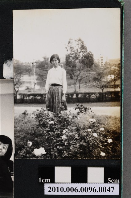 一女子站立於花叢後方獨影之照片 (共2張)