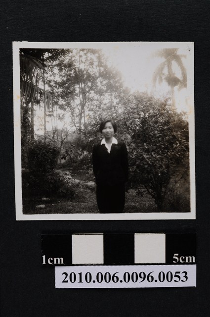 一女子站立於植栽前獨影之照片 (共2張)