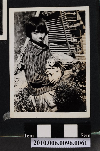 一女孩抱著洋娃娃站立於矮樹叢間獨影之照片 (共2張)