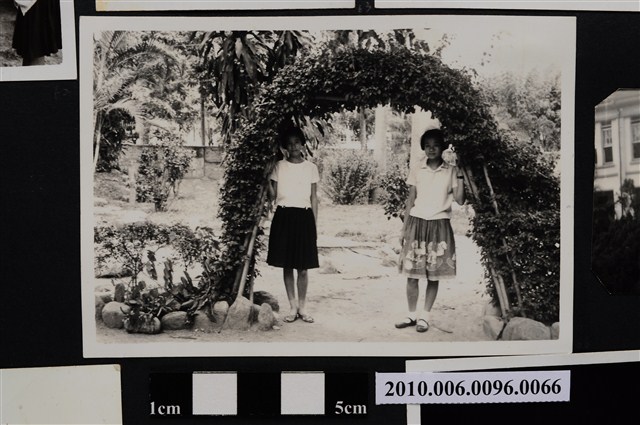 二位女子站立於拱門造型植栽下合影之照片 (共2張)