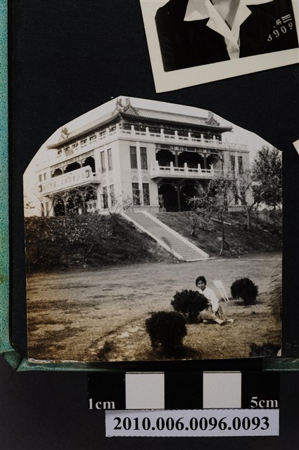 一女子坐於矮樹叢旁獨影之照片 (共2張)