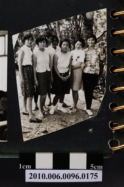 七人合照 (共2張)