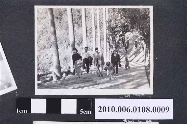 1960年2月曹靖子等人爬階梯剪影 (共2張)