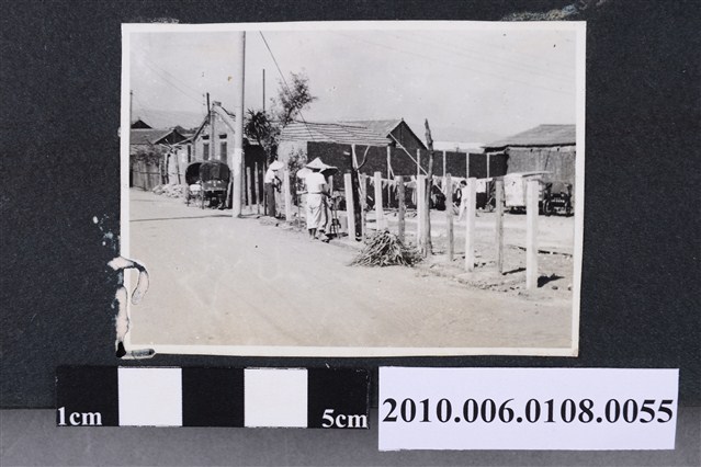 一九六一年五月整理園地剪影11 (共2張)