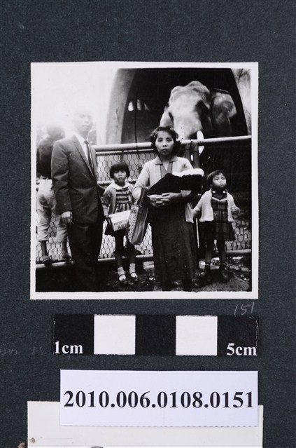 1961.11.25遊動物園2 (共1張)