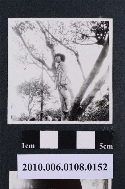 1961.11.25遊動物園3 (共1張)